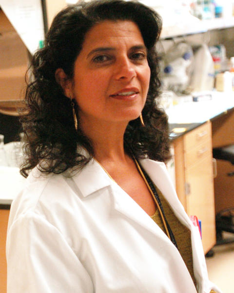 Marsha A Moses | Landry Cancer Biology Consortium